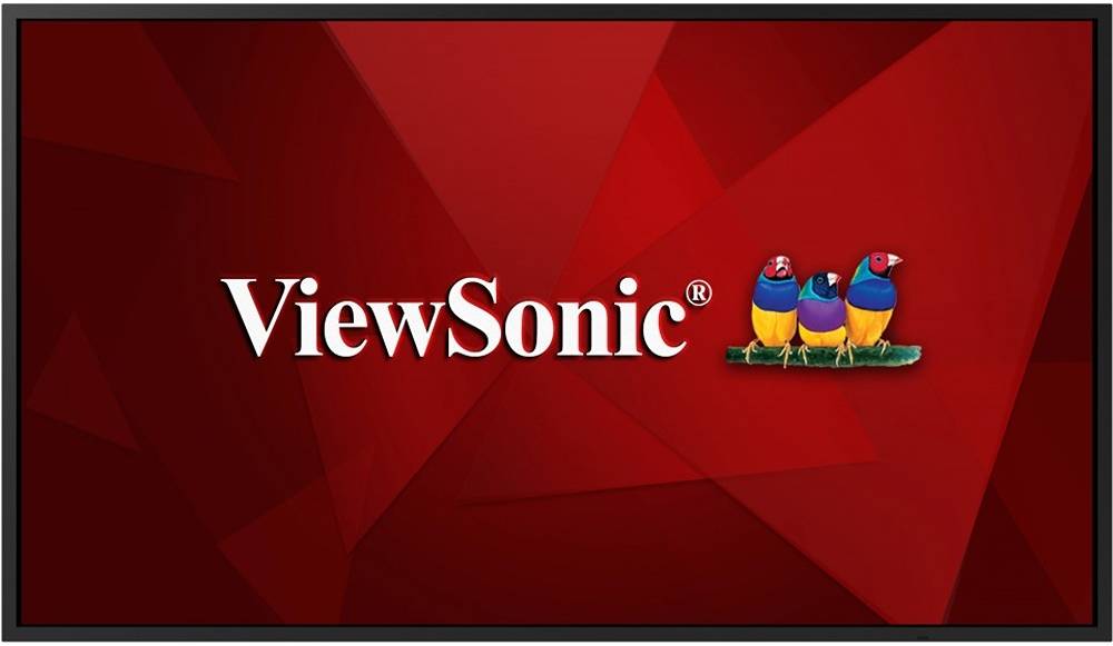 ViewSonic CDE5520 55-Inch 4K UHD Presentation Display, Dual 10W Speakers, 8ms Response, 1.07B Colors, 350 Nits, RJ45 LAN, HDMI and DVI, Black
